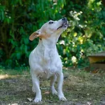 Bed & Breakfast Mas Des Vignes Piscine Chauffee *