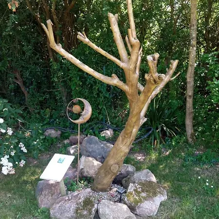 Bed & Breakfast Mas Des Vignes Piscine Chauffee