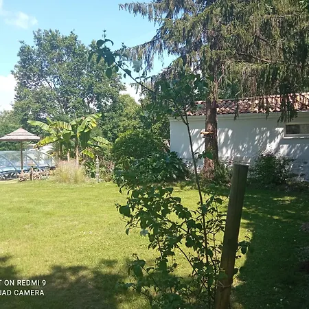 Nocleg ze śniadaniem Des Vignes D Hotes Et En Vendee Piscine Chauffee Le Champ-Saint-Pere