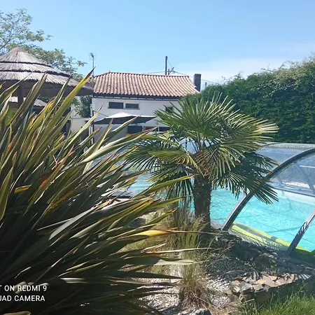 Des Vignes D Hotes Et En Vendee Piscine Chauffee *
