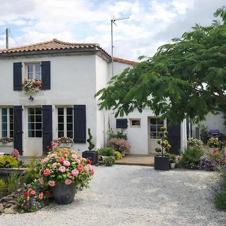 Des Vignes D Hotes Et En Vendee Piscine Chauffee *