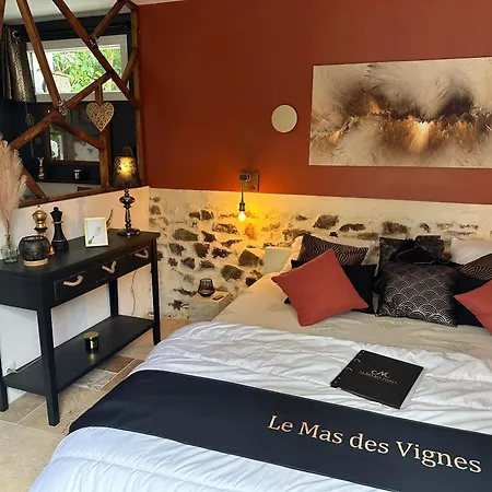 Des Vignes D Hotes Et En Vendee Piscine Chauffee Bed & Breakfast *