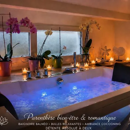 Nocleg ze śniadaniem Des Vignes D Hotes Et En Vendee Piscine Chauffee *