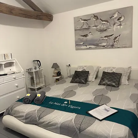 Des Vignes D Hotes Et En Vendee Piscine Chauffee Le Champ-Saint-Père