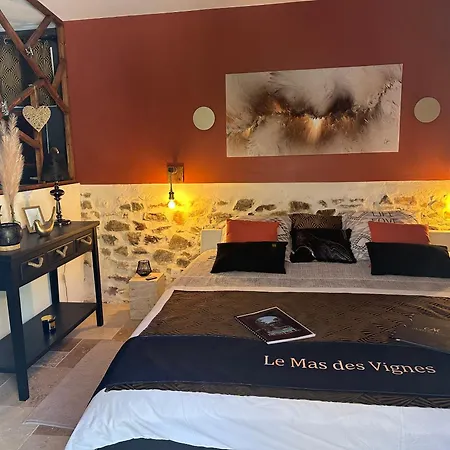 Des Vignes D Hotes Et En Vendee Piscine Chauffee * Le Champ-Saint-Pere
