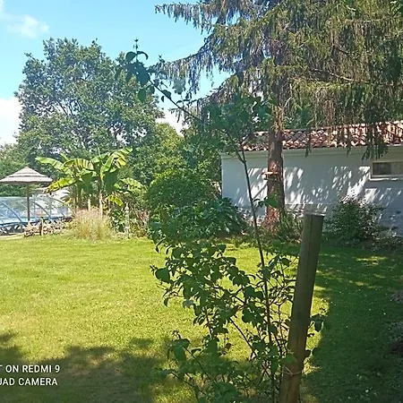 Bed & Breakfast Des Vignes D Hotes Et En Vendee Piscine Chauffee *