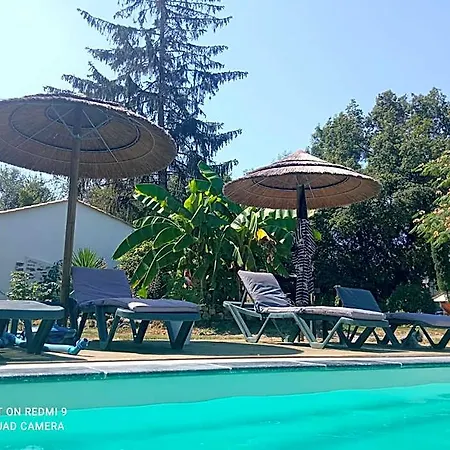 Des Vignes D Hotes Et En Vendee Piscine Chauffee Le Champ-Saint-Pere