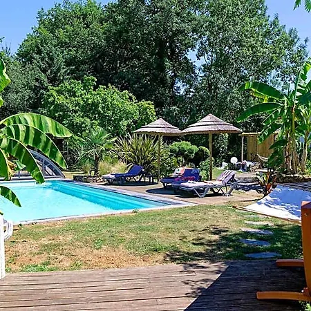 Des Vignes D Hotes Et En Vendee Piscine Chauffee Nocleg ze śniadaniem Le Champ-Saint-Pere
